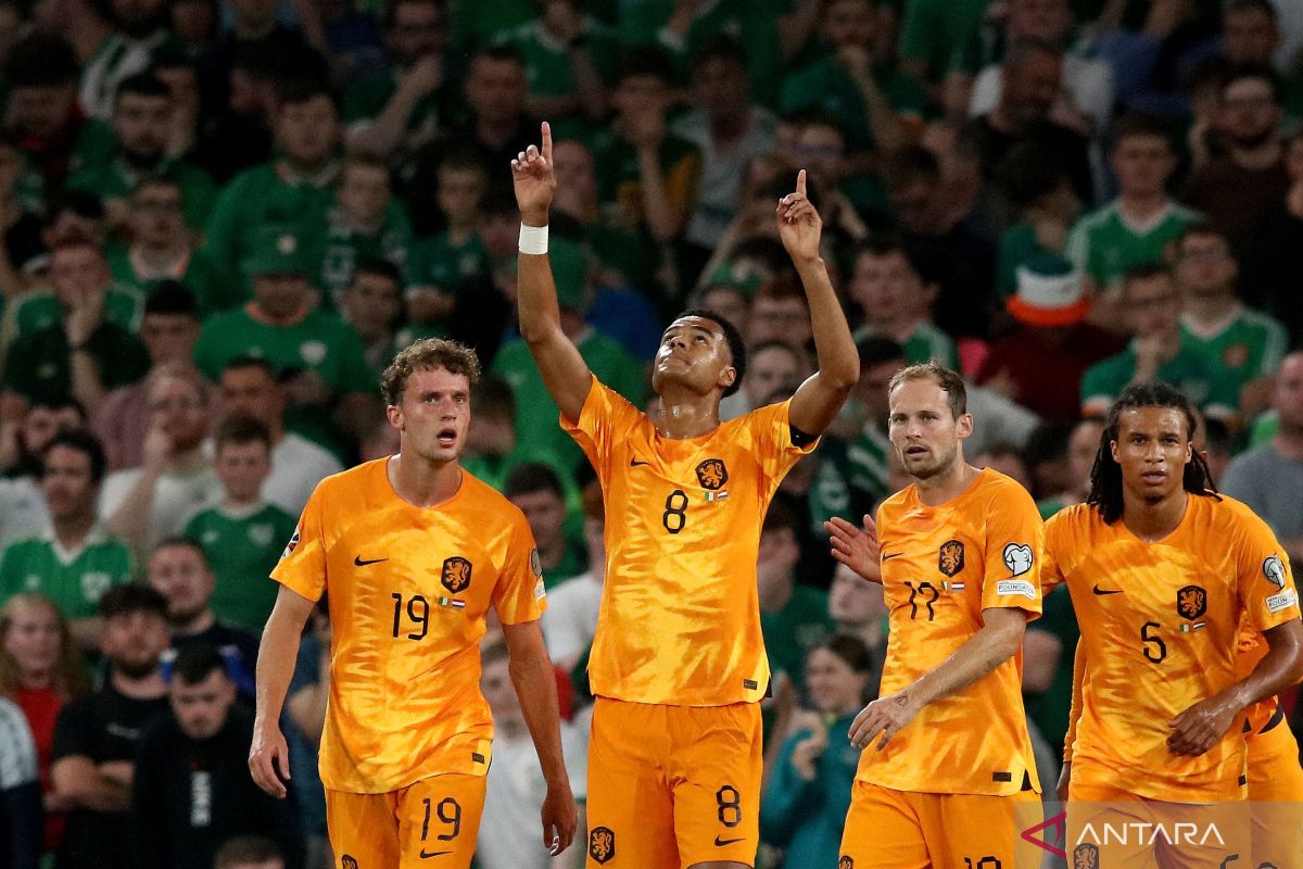 Belanda menang 2-1 di markas Irlandia pada kualifikasi Piala Eropa